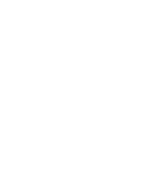 Home button